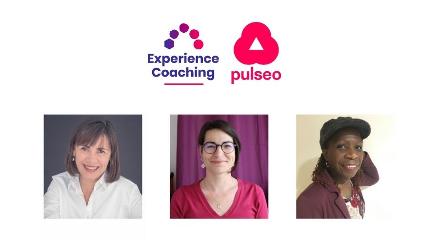 coaching professionnel pulseo dax