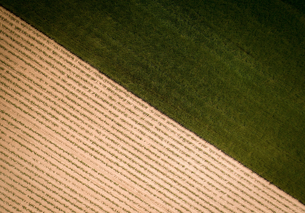 gaïa care consulting (g2c) accompagner le monde agricole en mutation